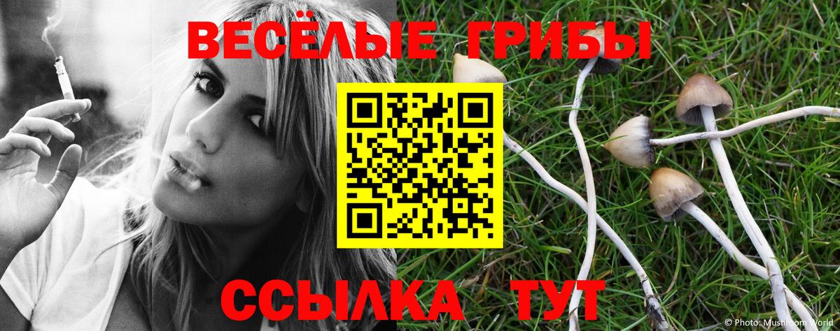Псилоцибиновые грибы мухоморы  Вход с VPN  Псилоцибиновые грибы MAGIC MUSHROOMS  Котовск 
